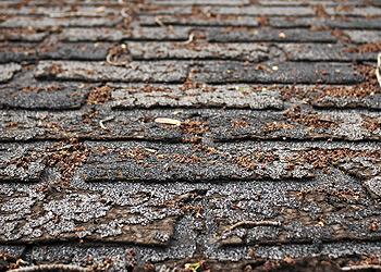 Upscale Roofing Images